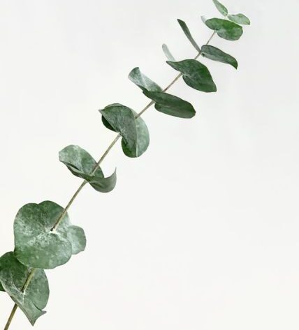 image1 (1)